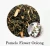 Import High Quality Herbal Tea Pomelo Flower Oolong Tea from China