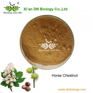 High Quality Horse Chestnut Extract 10:1/Aescin 98% With CAS No:11072-93-8