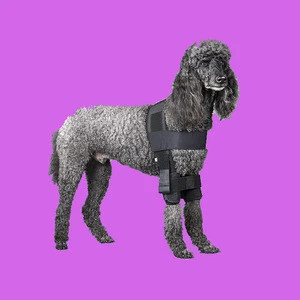 high quality protective Shoulder Stabilization System for pet accessories wholesale