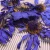 Import HO4009 Lan Lian Hua Non-vacuum natural premium blue lotus tea dried Blue Lotus flower Nymphaea caerulea from China