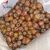 Import Honey Dates Dried Date Fruits in bulk Wholesale from China