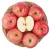 Import Hot sale New harvest fresh fruit Red Fuji apple from China