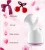 Import Hot Sale Thermal Spray Steamer Facial With Multifunction from China