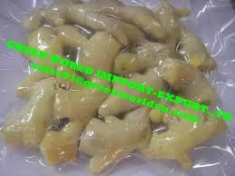 HOT SELLER- FRESH FROZEN GINGER WITH HIGH QUALITY