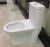 Import Hot Selling Top Grade Ceramic Closestool Toilets Home Hotel Building Siphonic Toilet from China