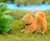 Import hot selling yellow Akita dogs garden animals miniature sculpture resin dog statues from China