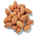 Hungary Organic bitter apricot kernel Around 99.95 %Purity