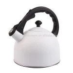 induction stove stainless steel water tea kettle