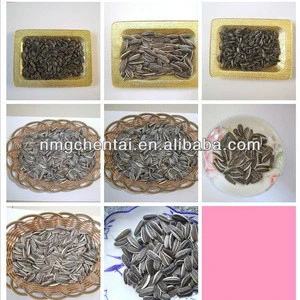 Inner mongolia sunflower seeds kernels for confectionery or bakery