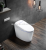 Import intelligent smart toilet from China