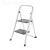 Import Iron Step Ladder from China