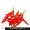 ISO certification Egypt organic edible fresh red chili for sale
