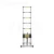 Joint Telescopic Ladder