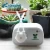 Import Kamoer Mobile Phone Control DIY Automatic Watering Device Water Pump Timer System Succulents Plant/Garden Drip Irrigation from China