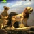 KANOSAUR0570 Remarkably Lifelike Moving Animatronic Life Size Lion