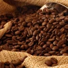 Kenya Mocha JAVA Coffee
