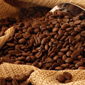 Kenya Mocha JAVA Coffee