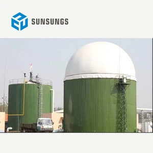 Large Biogas Capacity Human Waste To Produce Biogas For power Generation