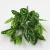 Import Live in Hot Sell Product Artificial Result Lifelike Green Plant Orchid Artificial Plants for Home Decor Artificial Plant Pot from China