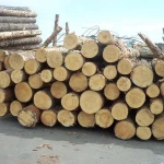 Logs