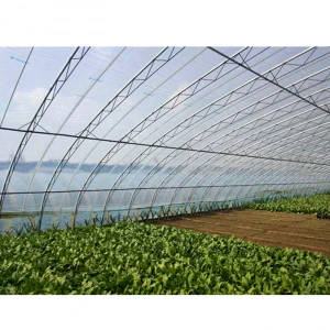 Low cost hydroponic growing Tunnel Plastic multi span Film Polyhouse Green house
