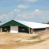 Low Cost Prefab Steel Structure Automated Chicken House Poultry House