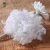 Import Low price of 100% Polyester recycled fiber in bales with high quality from China