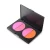 Import Makeup Best Seller Perfect Cosmetics Glitter Baked Blusher for Facial Blush from China