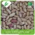 Import Mytext Growing speckled butter light speckled kideny beans shape from China