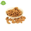 Native Australia wholesale slice almonds kernels in bulk raw