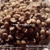 Natural and Bulk Packaging Raw Green Coffee Beans