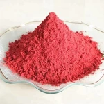 Natural fruit powder flavours for Instant health drink