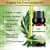 Import Natural tea tree essential oil beauty skin care conditioning anti-wrinkle from China