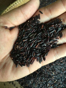 Natural Thai Black Rice ( Rice berry ) Organic Grain Rice Healthy Food Good For Health And Beauty Pack in Vacuum Bag By Mae-Mae