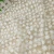 Import New arrival cotton thread embroidery lace fabric from China