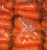 Import new crop fresh carrot from China