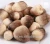 Import New crop paddy straw mushroom selling with good quality 50KG from China