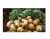 Import New Harvest High Quality Potato from Vietnam Farm! Fresh Sweet Potato Wholesale Price! EU Export Vegetable Potato from Vietnam