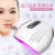 Import NEW PDT DEVICE FOR SALON USE HOME USE PERSONAL CARE SKIN REJUVENATION from China
