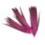 Import New Pretty Dyed Premium Ringneck Pheasant Tail Feathers Decoration from China