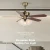 Import New Product Hot Selling Fancy Zipper Switch Ceiling Fan With 220V Light from China