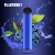 Import Newest Plus Disposable 500+Puff Pod Cartridge 550mAh Battery 3.2ml Filled Vape Pods Stick 75 Flavors Vs Disposable Vape Puff Plus from China