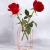 Import Nordic Golden Wrought Iron Test Tube Glass vase Living Room Flower Arrangement Water Culture Jewelry Transparent Glass Bottle from China
