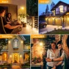 Northland sample support Warm White Sensor Light Motion Sensor LED Wall Mounted Outdoor Solar Wall Light