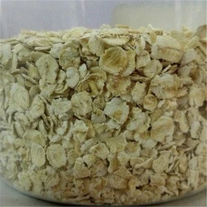 Oats Flakes For Sale