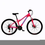 OEM 24 speed mountain bicycle/gift bike /cheap mountain bike bmx gear cycle