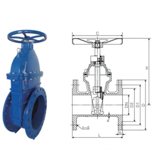OEM and ODM manufacture din crane gate valve parts