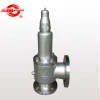 Oil, Steam Safety valve , pressure relief valve GB,API, DIN