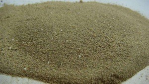 Organic Fertilizer Seaweed powder