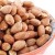 Import Peanuts Raw In Shell High Quality Peanuts Dried Egypt Top selling Peanuts wholesale bulk new crop from Egypt